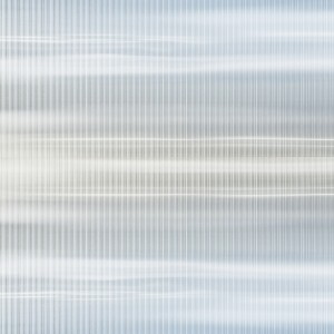 CLAER_Shades of White