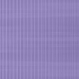 SOFTLITE PURPLE_Colorful softlight