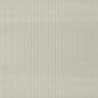 Softlite Clear
