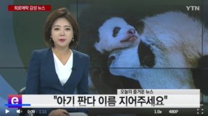 pandanews